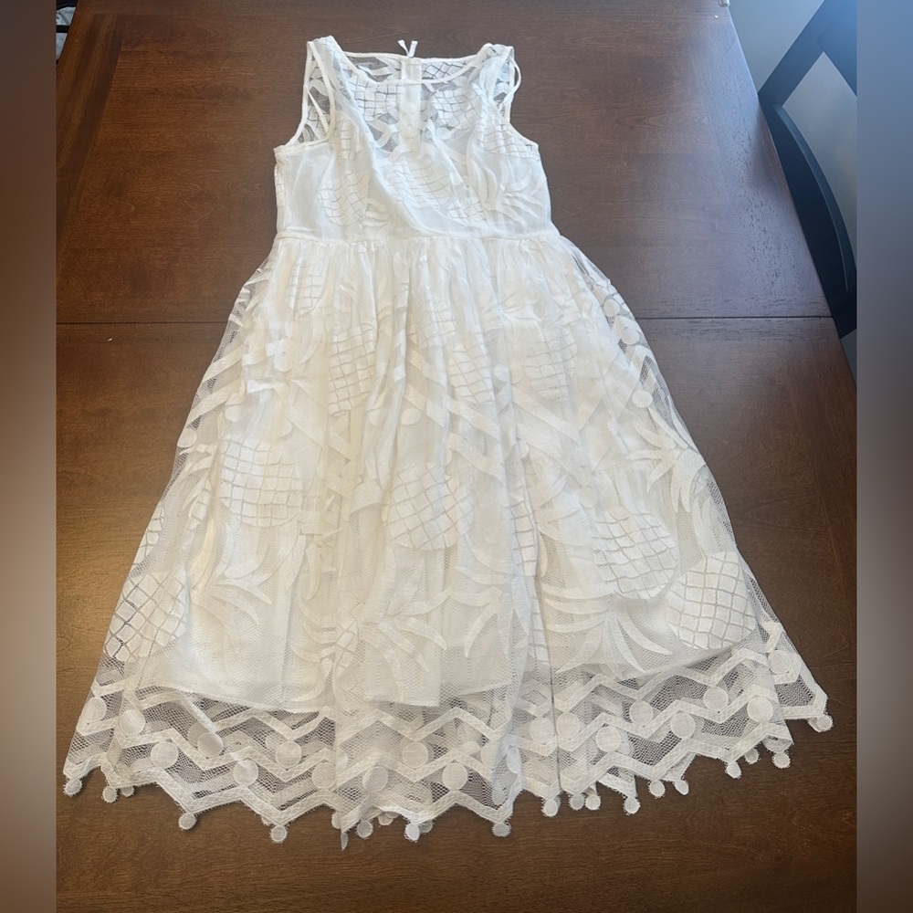 Anthropologie Maeve Pineapple Pina Lace Dress